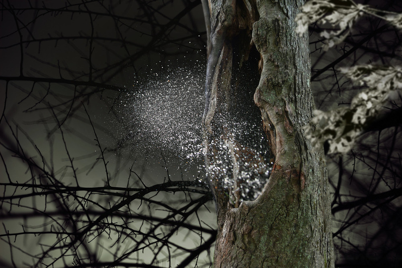 Illustration for article titled Gorgeous Photos Capture Smoke Bombs and Pyrotechnics As They Explode